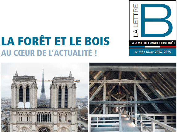 Lettre_B.png