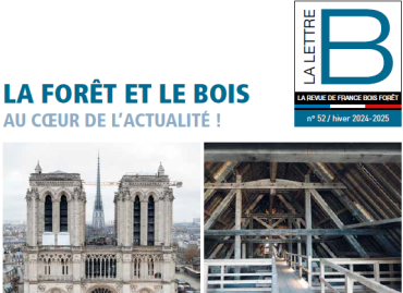 Lettre_B.png